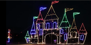 Winter Wonderfest